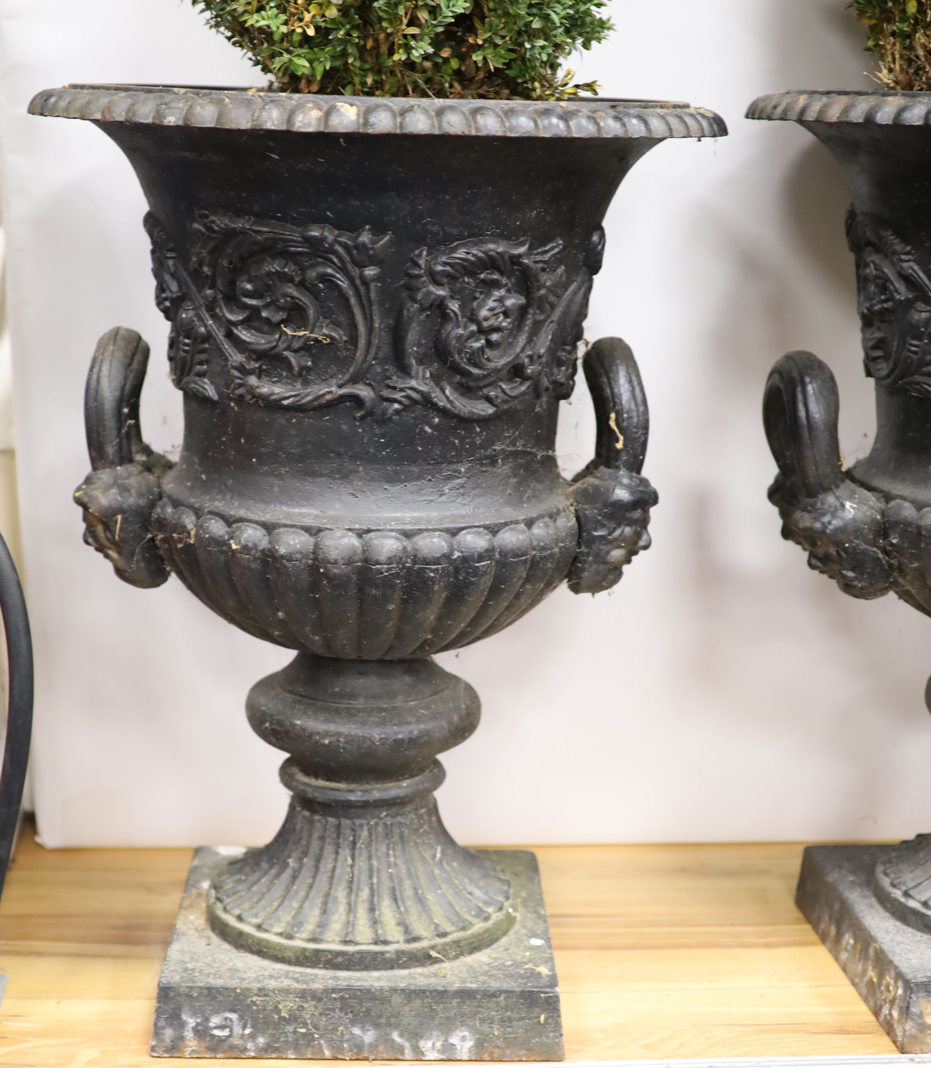 A pair of Victorian cast iron campana garden urns H 77cm. D 56cm.